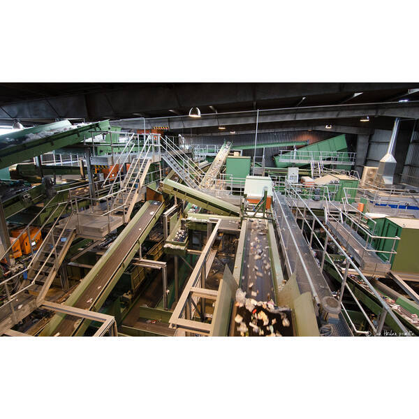 Sorting Plant for Packaging
