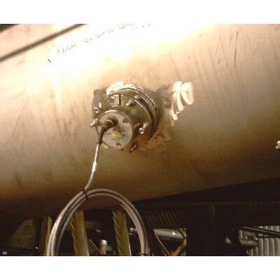 Sugar Beet Processing 