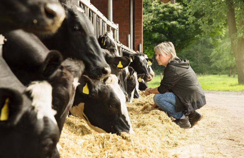 Precise media detection for adhering raw materials Capacitance level measurement in blender for animal feed production