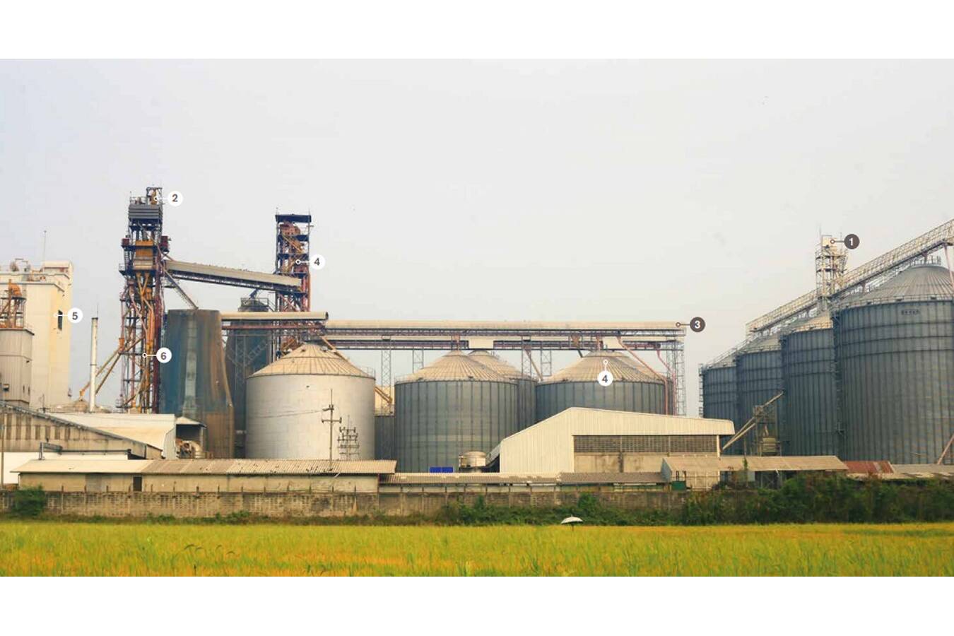 Muller Beltex Enhances Bulk Safety with ATEX Monitoring Solutions Muller Beltex introduces a comprehensive suite of ATEX-certified process monitoring systems designed to mitigate explosion risks and optimize operational continuity in the global powder and bulk handling industry.